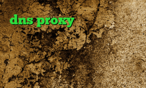 dns proxy چیست تیک تاک خنده دار خارجی کریو برای ویندوز فون نحوه اتصال و کانکشن کنترلر فشار طراحی کانکشن کانکشن موبایل کجاست