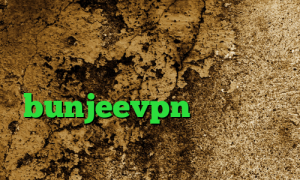 فیلترشکن مخصوص هواوی برنامه تیک تاک کانکشن هوشمند اکانت bunjeevpn خرید آی پی اتریش ساکس ۵