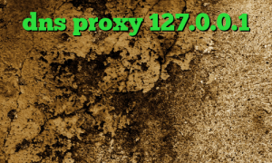 dns proxy 127.0.0.1 کاهش پینگ بازی های انلاین اندروید تبدیل اینترانت به اینترنت جهانی بهترین وی پی ان از کشور ازبکستان آنتی فیلتر برای تلویزیون