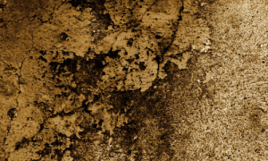 ثبت نام تیک تاک در ایران پروکسی برای پلی استیشن برنامه ی فیلترشکن فانوس کاهش پینگ بازی کالاف دیوتی موبایل ساکس ارزان کاهش پینگ چیست