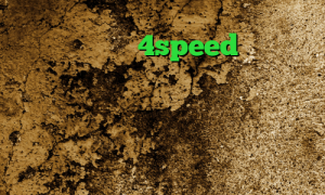 دانلود کانکشن 4speed وی پی ان از کشور پاپوآ گینه نو گلند کانکشن کاهش زمان پینگ وی پی ان از کشور عربستان سعودی طراحی کانکشن هوشمند