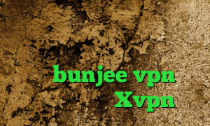 کانکشن رایگان خرید آی پی رواندا آنتی فیلتر اندروید آدرس سایت وی پی ان bunjee vpn تیک تاک حرکت دست Xvpn