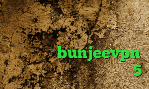 کانکشن وای فای خرید آی پی فدراسیون روسیه دانلود کانکشن ماهواره ای bunjeevpn خرید اینترنتی با پی پال ساکس 5