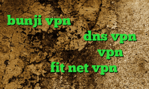 bunji vpn دانلود کانکشن ای نت فیلتر شکن با تغییر dns vpn مخصوص تلگرام عالی خرید vpn برای گوشی fit net vpn