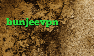 خرید آی پی استاتیک شاتل اپلیکیشن bunjeevpn وی پی ان از کشور کامرون کاهش پینگ گیمینگ کانکشن چیست انتی فیلتر گوگل