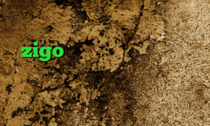 فیلترشکن کامپیوتر نی نی سایت zigo وی پی ان دانلود کانکشن رادیو فردا کریو اکانت فیلترشکن یوتیوب برای اندروید کاهش زمان پینگ