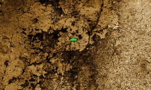 بالتیمور سان – ما در حال حاضر در منطقه شما در دسترس نیستیم