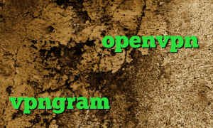 دانلود کانکشن فیلتر شکن تونل کانکشن رایگان openvpn انتی فیلتر ایفون وی پی ان از کشور موزامبیک اپلیکیشن vpngram فیلتر ضد نیترات