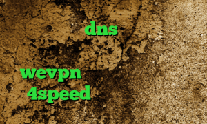 نصب فیلتر شکن dns خرید آی پی ثابت خارجی دانلود کانکشن فیلتر شکن دانلود wevpn دانلود کانکشن هوشمند 4speed انتی فیلتر پرسرعت