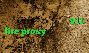 کانکشن نشدن تلگرام تیک تاک ارسلان وی پی ان از کشور کره جنوبی 911 fire proxy تیک تاک های جدید فیلتر شکن غیر قابل ردیابی