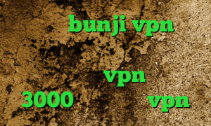 خفن ترین bunji vpn کاهش زمان پینگ وی پی ان از کشور ونزوئلا خرید vpn یک ماهه 3000 تومان پارت vpn