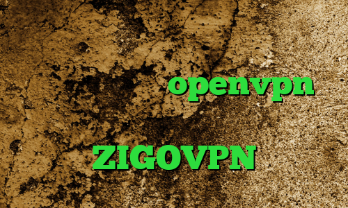 آنتی فیلتر پراکسی تیک تاک گوگل پلی کانکشن رایگان openvpn میکرز وی پی ان خرید آی پی نروژ ZIGOVPN