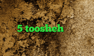فیلترشکن پرسرعت برای ویندوز دانلود کانکشن هوشمند تیک نت ساکس5 toosheh فیلتر شکن با قابلیت تغییر ای پی آنتی فیلتر سرعت بالا